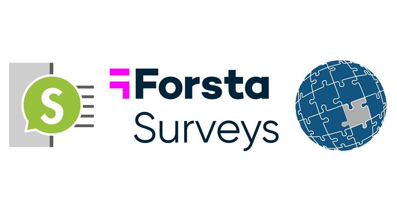survey-scripting